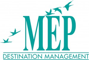 MEP_DMC Logo